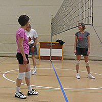 Volleyplausch