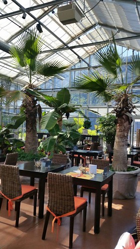 Ein feines "Zobig" im Tropenhaus