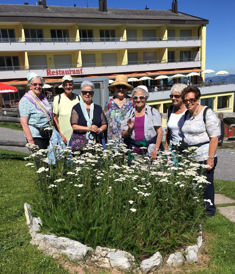 Seniorinnen Mittwoch