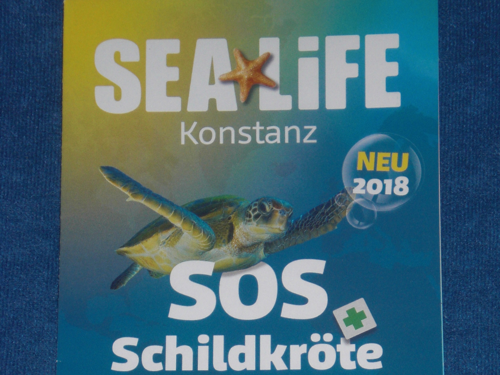 Seniorinnen Mittwoch