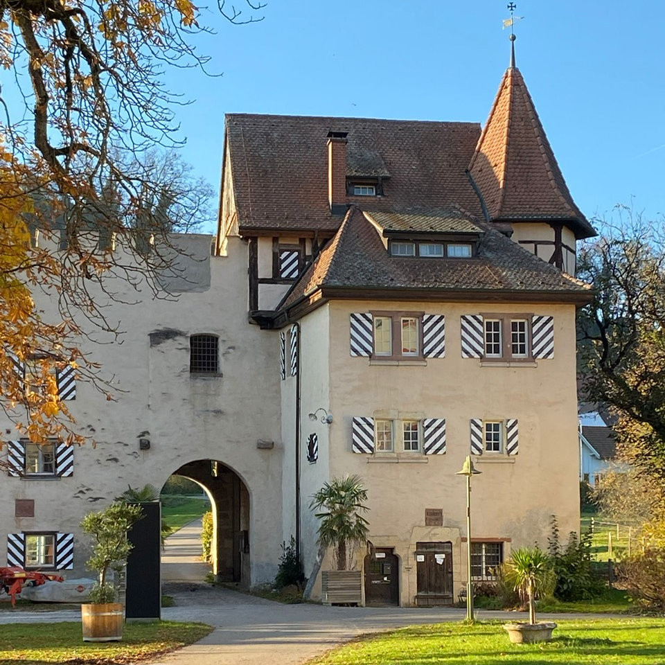 20 Jahre Fritigstrüppli