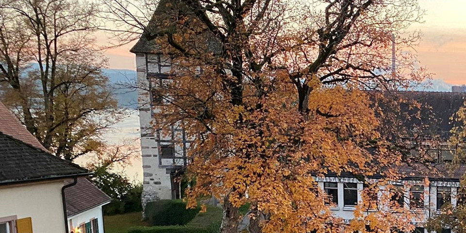 28. Oktober: 20 Jahre Fritigstrüppli