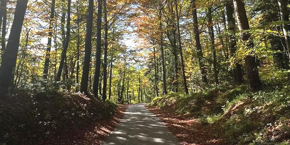 16. Oktober: Freitag Fitness Jurawanderung