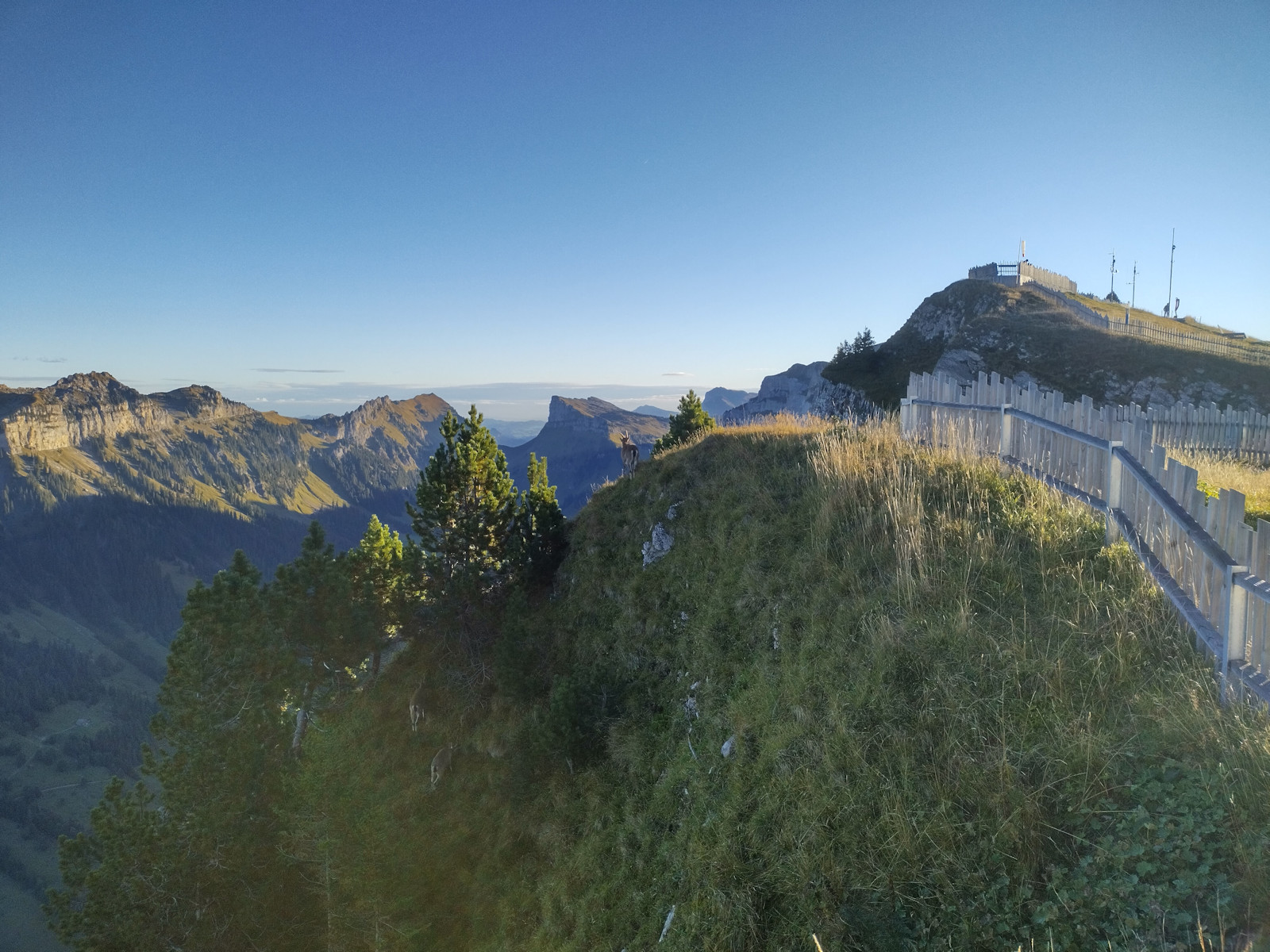Blick vom Niederhorn zum Sichlepass