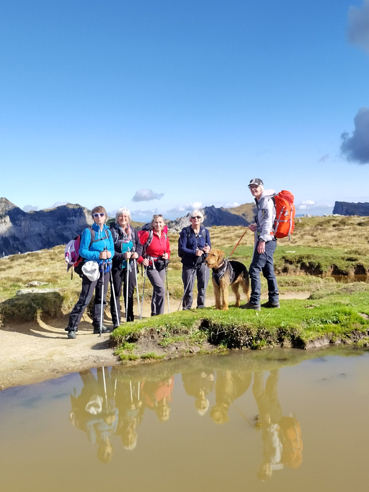 Fotohalt mit Pfütze