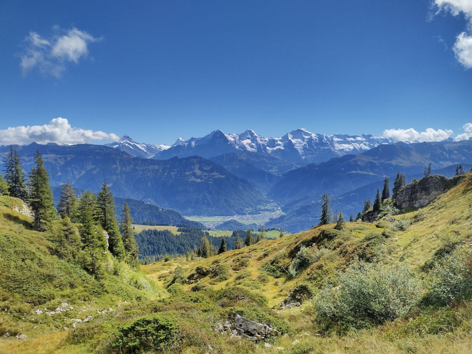 Wilderswil in der Ferne und Eiger, Mönch und Jungfrau