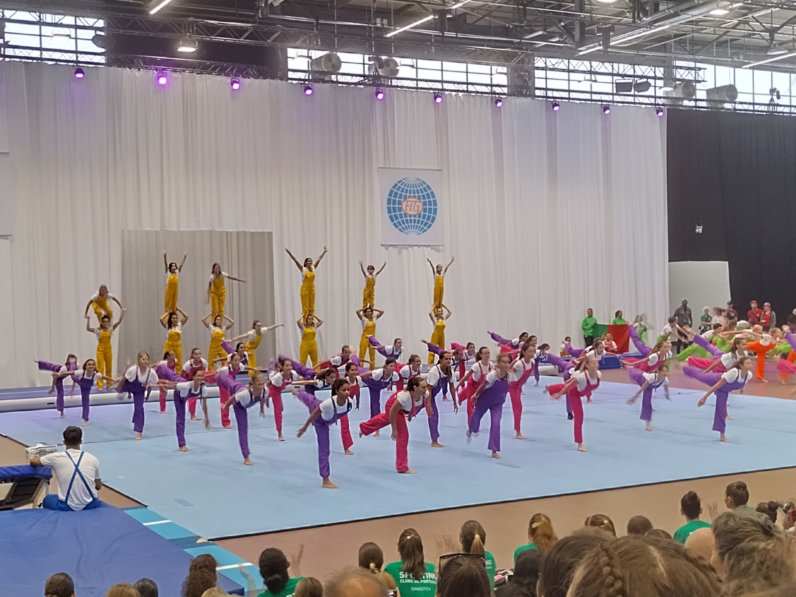 Gymnaestrada Performances