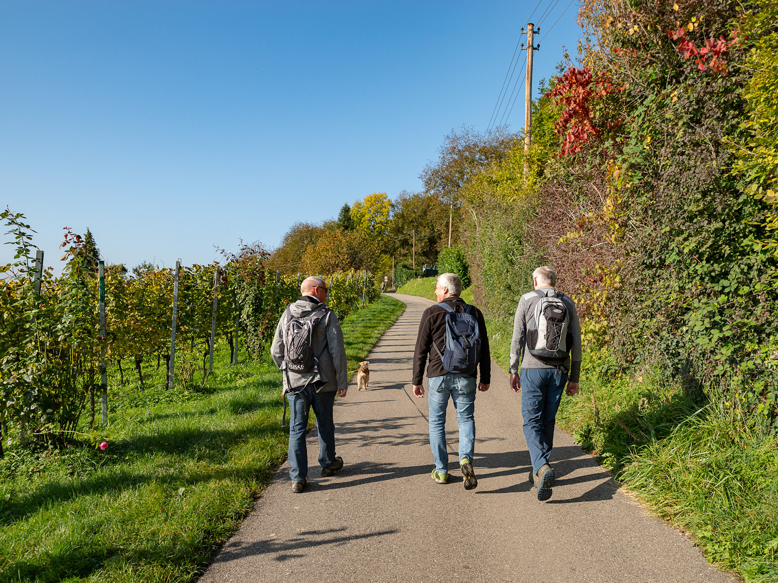 Wanderimpressionen im Aufstieg ...