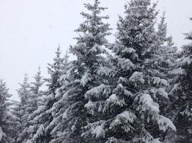 Schneeweekend 2016 Schneeweekend 2016