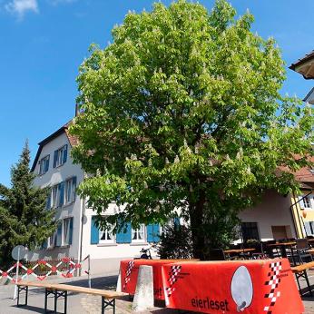 Eierleset 2017 Eierleset 2017