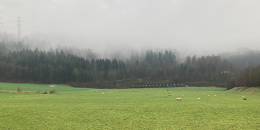 08.01.2023: Schnitzeljagd