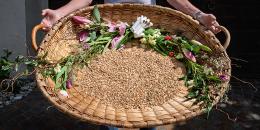 27.04.2025: Eierleset