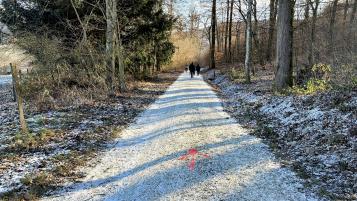 Impressionen von der Strecke