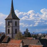 © P. Wehrli, Muttenz