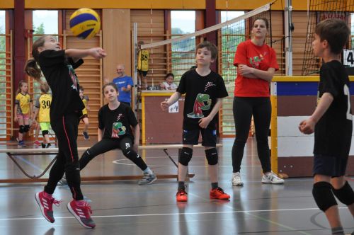 Kids Volley