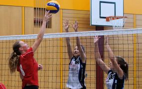 Damen 1 - Sm'Aesch Pfeff. 4 (27.10.2013)