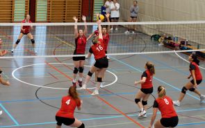 Damen 1 - KTV Basel   (02.11.2024)